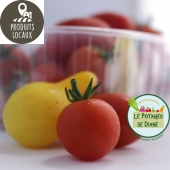 Tomates cerises