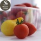 Tomates cerises (300g)