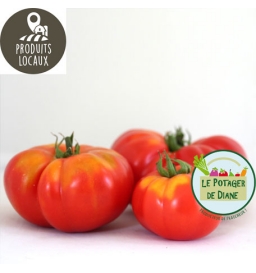 tomate marmande