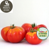 tomate marmande