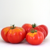 Tomates anciennes “Marmande“ (kg)