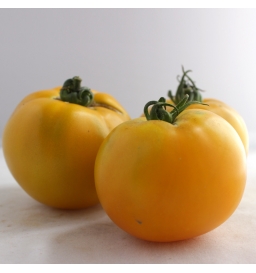 Tomates originales ananas (kg)