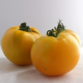 Tomates originales ananas (kg)