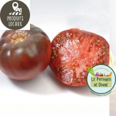 Tomates "Noire de crimée" 