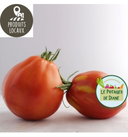 tomates coeur de boeuf
