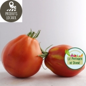 tomates coeur de boeuf