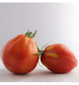 Tomates “Coeur de boeuf“ (kg)