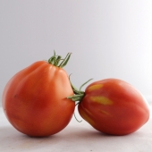 Tomates “Coeur de boeuf“ (kg)