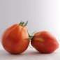 Tomates “Coeur de boeuf“ (kg)