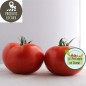 Tomates rondes (kg)
