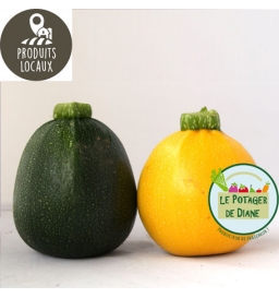 courgette ronde