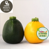 courgette ronde