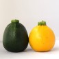 Courgettes rondes