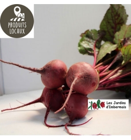 Botte de betteraves rouges