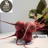 Botte de betteraves rouges