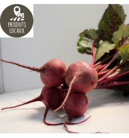 Botte de betteraves rouges
