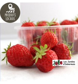 Fraises Mara des bois 250g