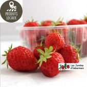 Fraises Mara des bois 250g