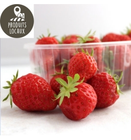 Fraises «Mara des bois» (250g)