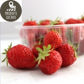 Fraises «Mara des bois» (250g)