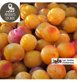 Mirabelles (500g)