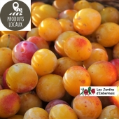 Mirabelles (500g)