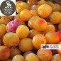Mirabelles (500g)