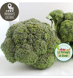 Chou brocoli