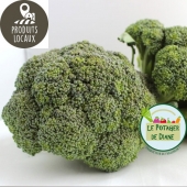 Chou brocoli