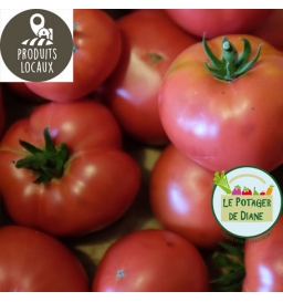 Tomates "Rose de berne"