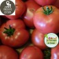 Tomates "Rose de berne" (kg)