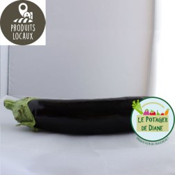 aubergine