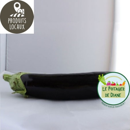 aubergine