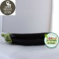 Aubergines (kg)