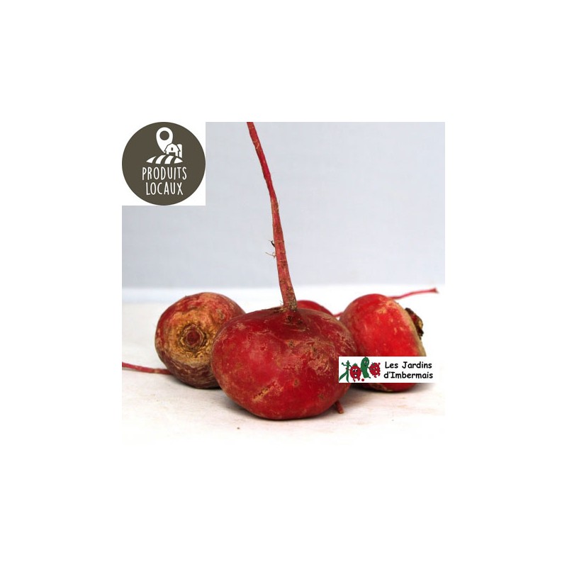 Betteraves rouges chioggia (kg)