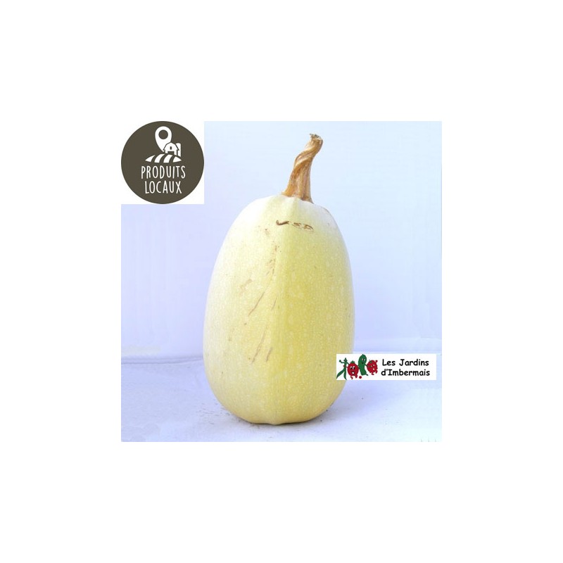 Courge “Spaghetti“ (environ 1.3 kg)