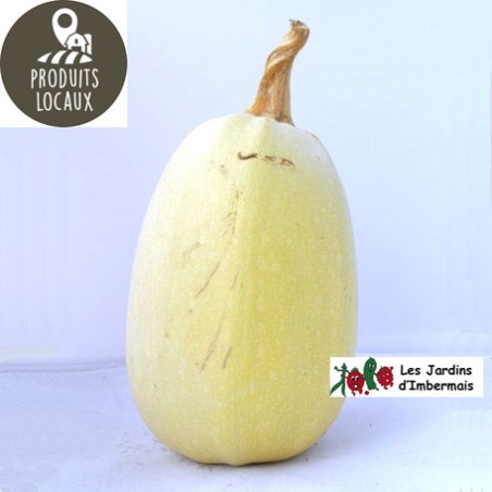 Courge “Spaghetti“ (environ 1.6 kg)