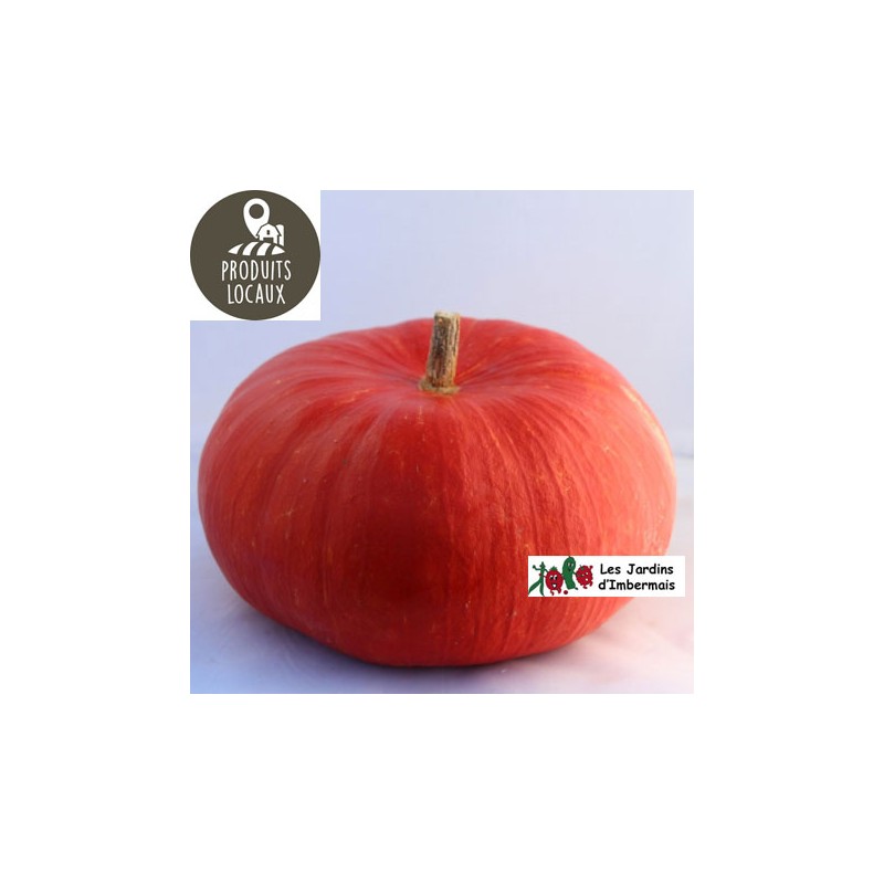 Potiron rouge vif d’Etampes (environ 3kg)