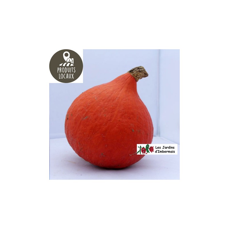 Potimarron Orange (environ 1.5 kg)