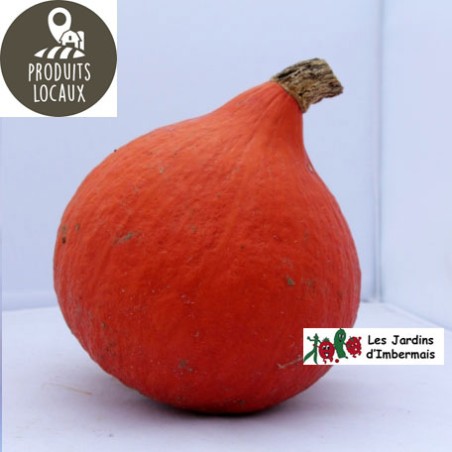 Potimarron Orange