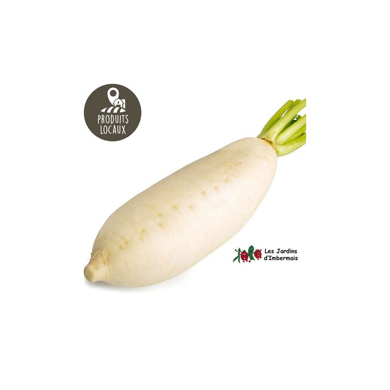 Radis blanc japonais (kg) Radis blanc japonais (kg)