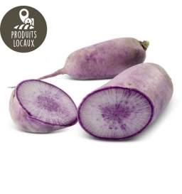 Radis long "blue Candle" (500g)