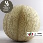 Melon
