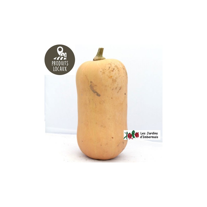 Courge “Butternut“ (environ 1 kg)