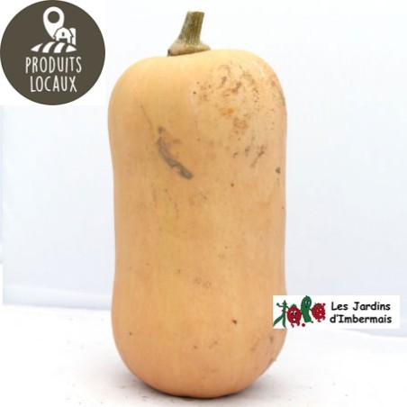 courge butternut