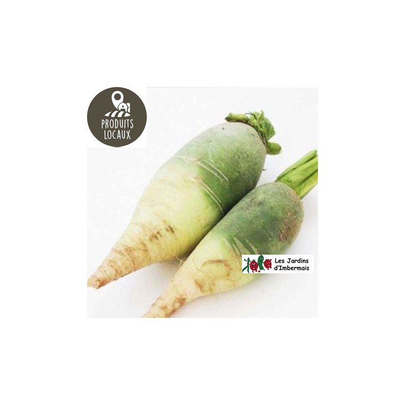 Radis rave green meat (kg)