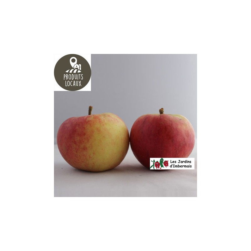 Pommes «Elstar» (kg)