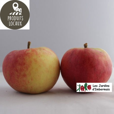 pomme elstar