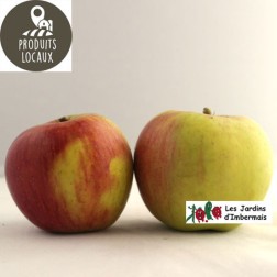Pomme Reine des reinettes