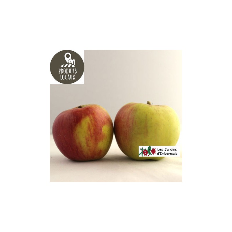 Pommes «Reine des reinettes» (kg)